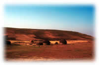 Ethiopian landscape