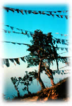 prayer flags in Nepal