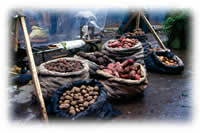 vegetable market in Peru
